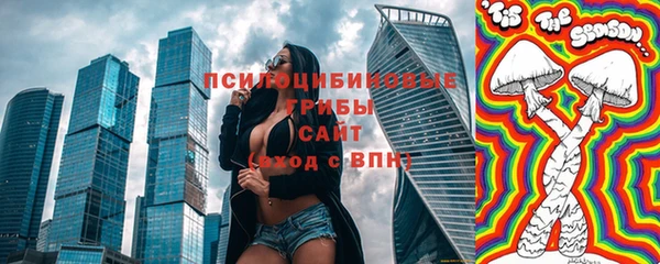 винт Бородино