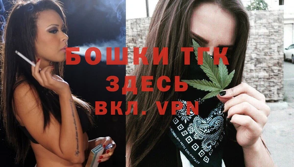 гидропоника Богданович