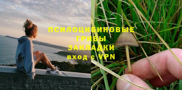 гидропоника Богданович