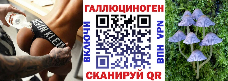 kraken ССЫЛКА  Касли  Галлюциногенные грибы GOLDEN TEACHER 